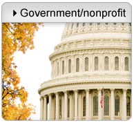 Government and non-profit purchases