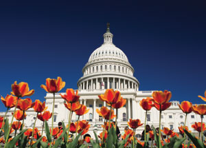 Capitol Building