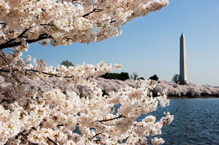 DC Monument