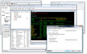 Stata 10 for Windows